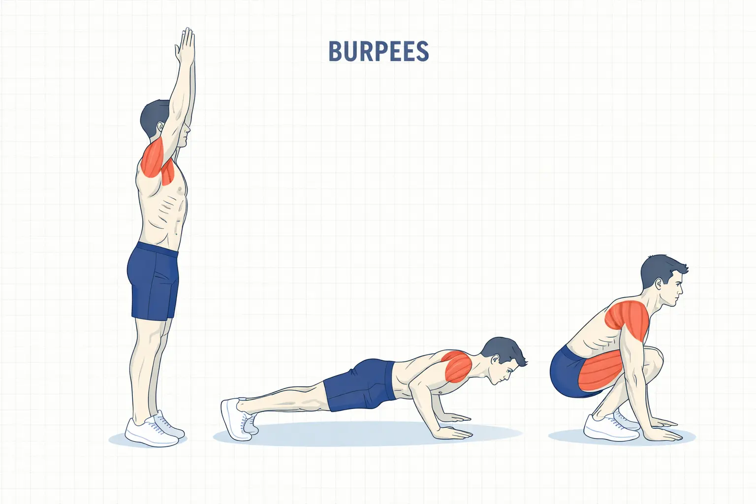 burpees exercice cardio complet poids du corps programme musculation sans matériel