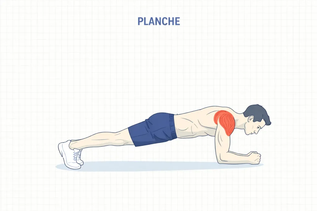 planche gainage exercice pour perdre du ventre à la maison