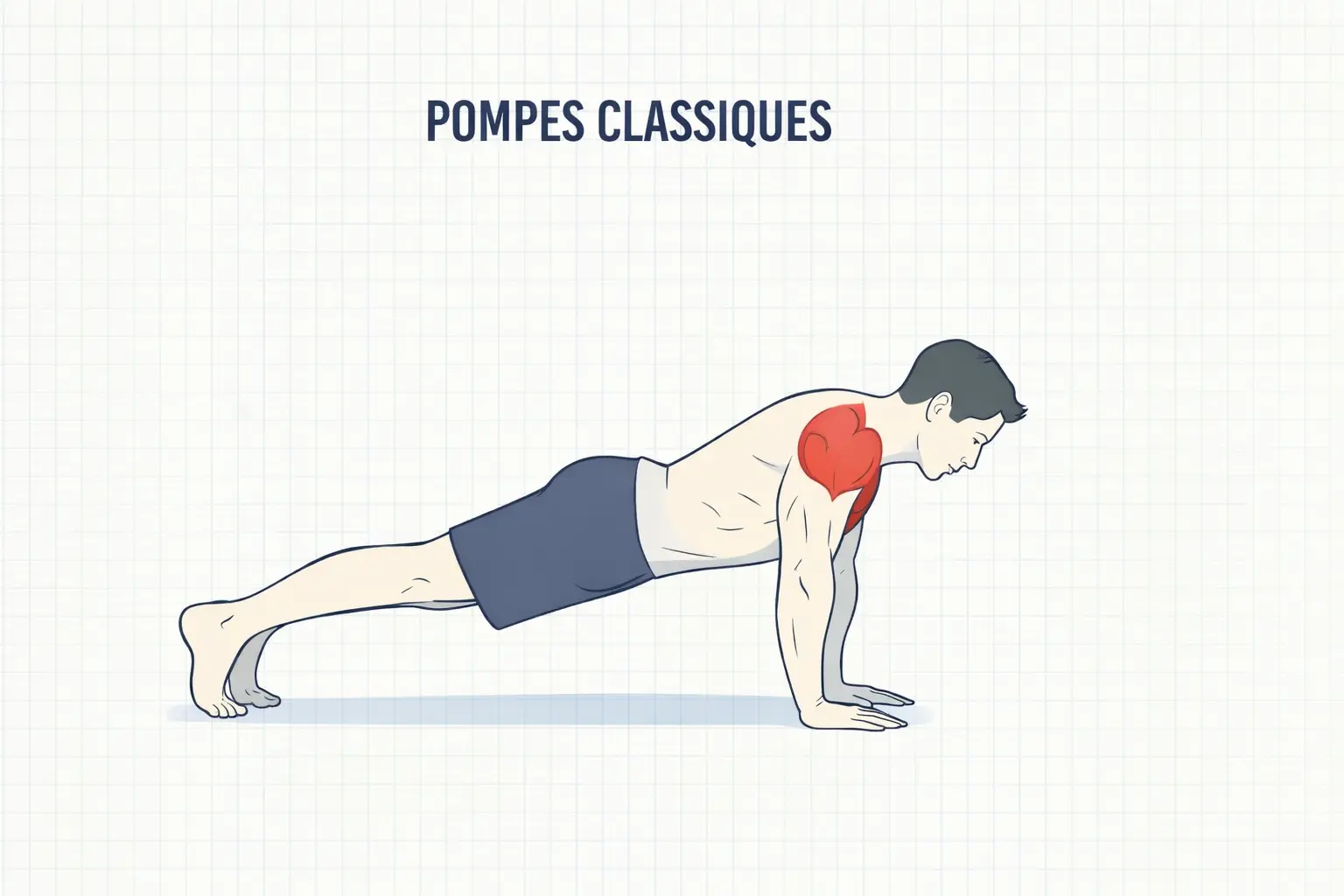 pompes classiques exercice poids du corps programme musculation sans matériel pectoraux