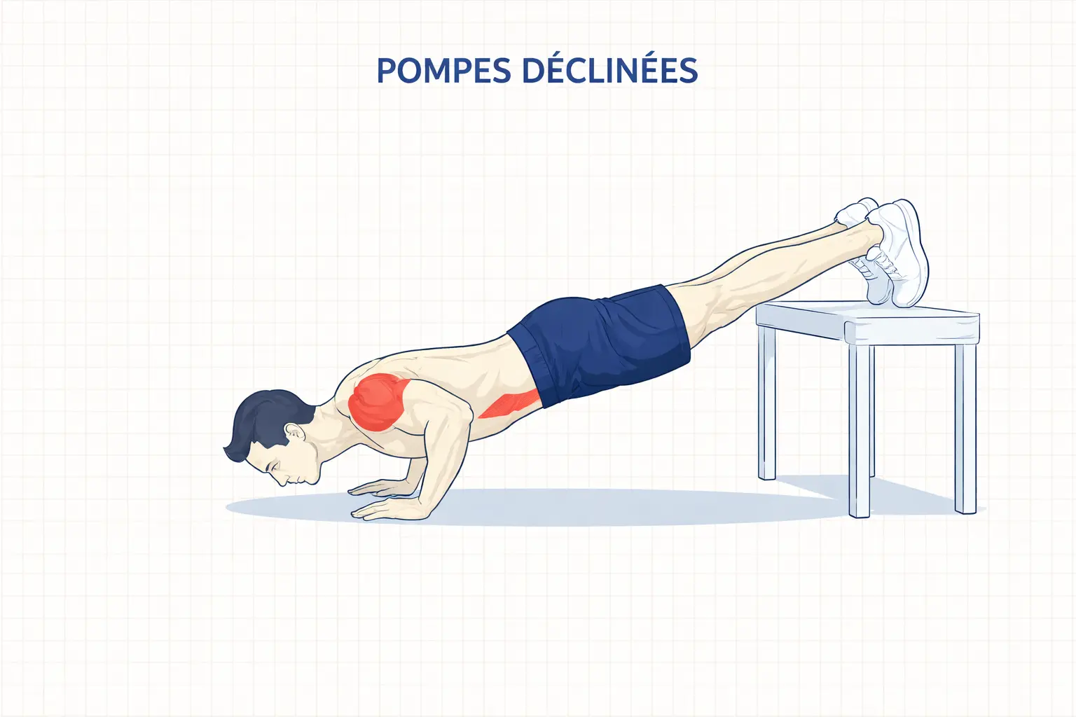 pompes surélevés exercice poids du corps programme musculation sans matériel pectoraux