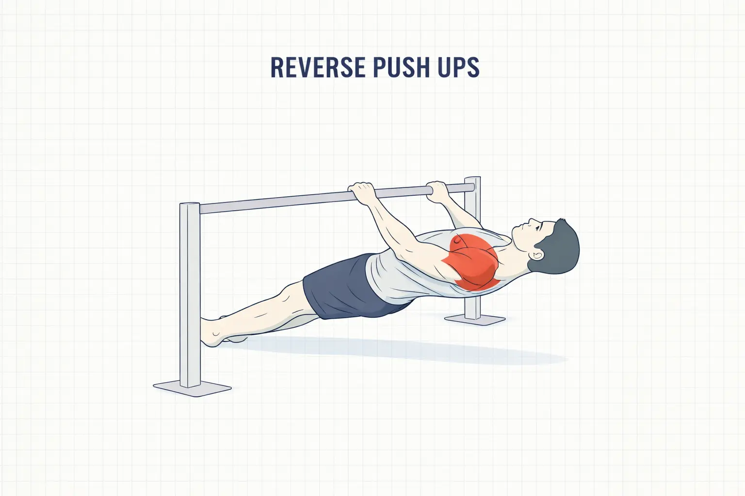 reverse push ups tirage inversé exercice dos poids du corps sans matériel