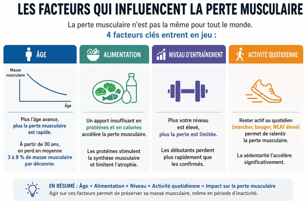 Facteurs influençant la vitesse de perte musculaire après un arrêt de la musculation